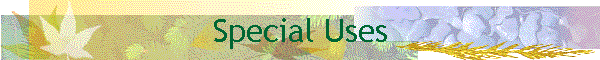 Special Uses
