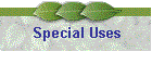 Special Uses