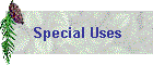 Special Uses